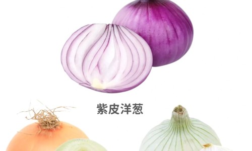 加味黄香正气丸的主治和功效网 - 网站提供加味黄香正气丸的主治和功效是什么小常识、加味黄香正气丸的主治和功效与作用